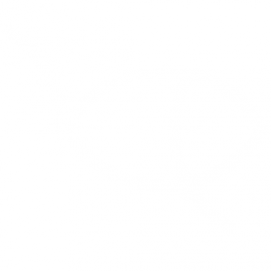 logo-white