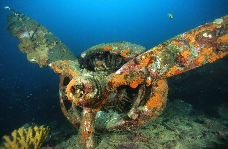 Bomber B-24 wreck