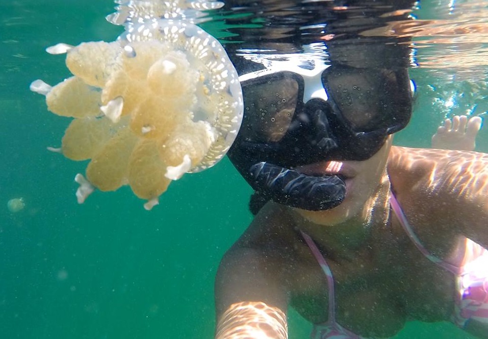 Jellyfish lake